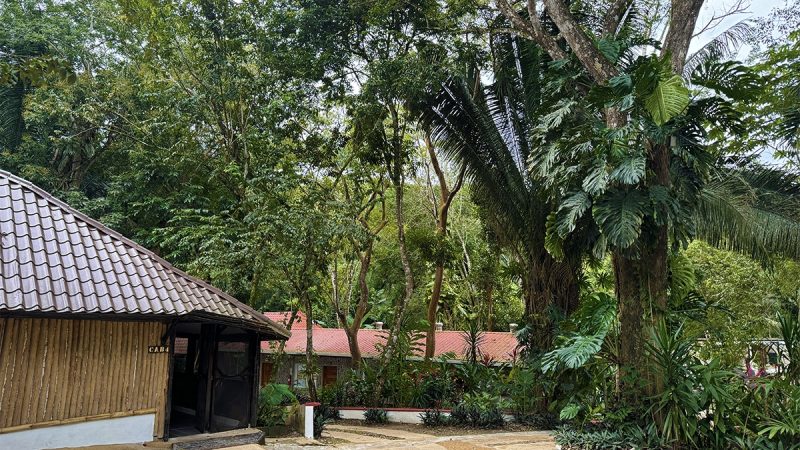 Copa Is Adding More Flights to Belize 