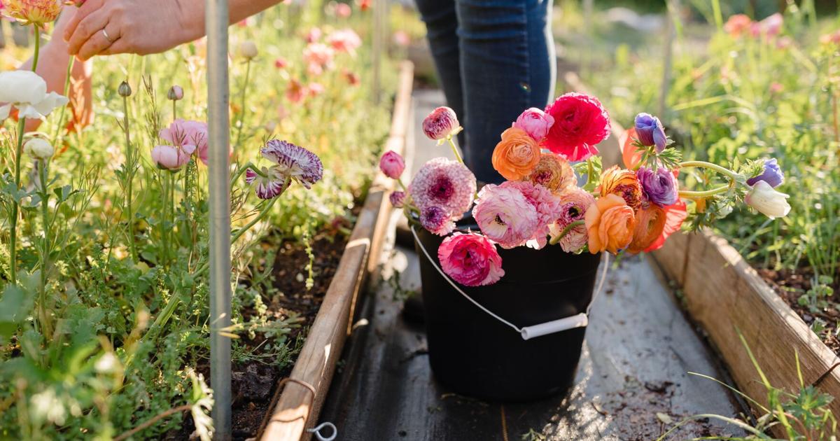 Summer festivals are back in SC! Here are six of