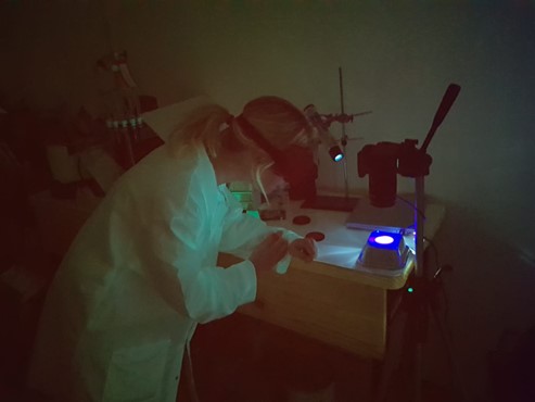 Belize and the UK Tackle Marine Plastic Pollution