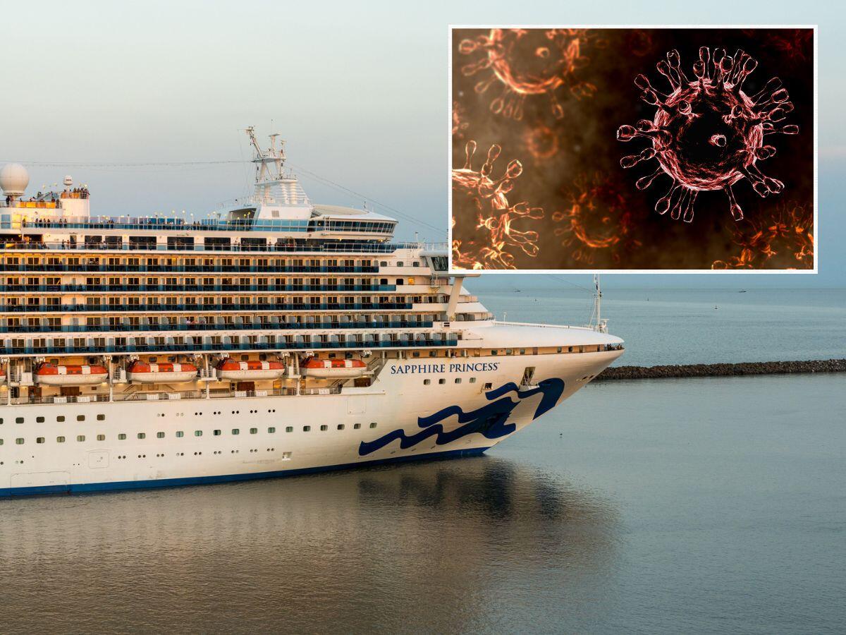 A norovirus outbreak aboard Royal Caribbean, Princess Cruises ships has left almost 200 people sick