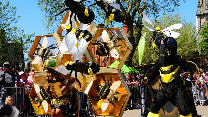 Preston Caribbean Carnival celebrating 50 years