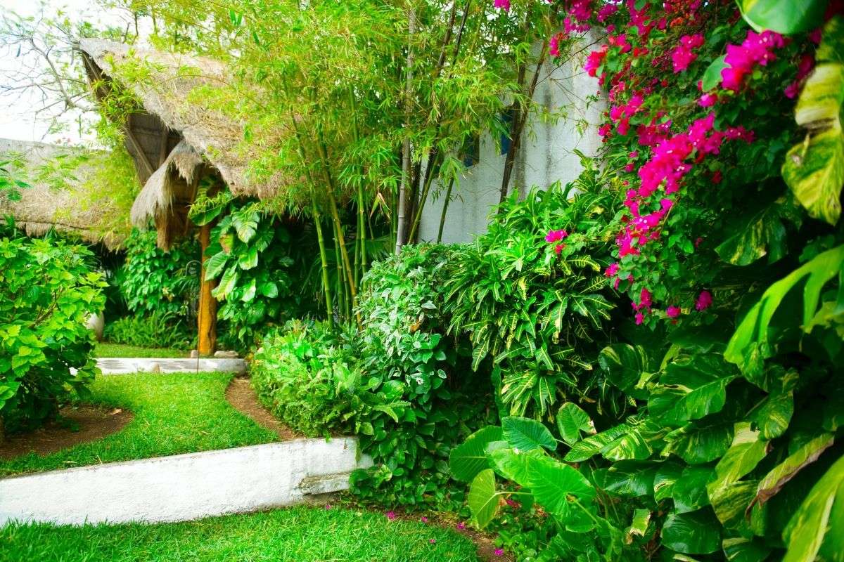 Unlock Your Island Paradise: Secrets to a Thriving Caribbean Garden