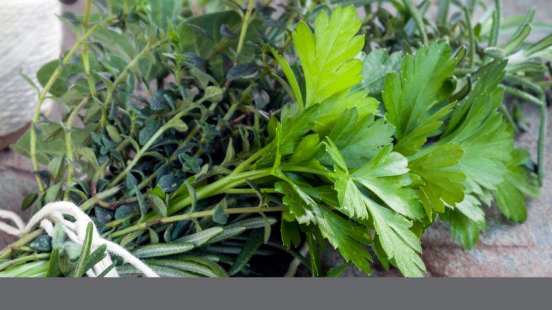 What is a Bouquet Garni