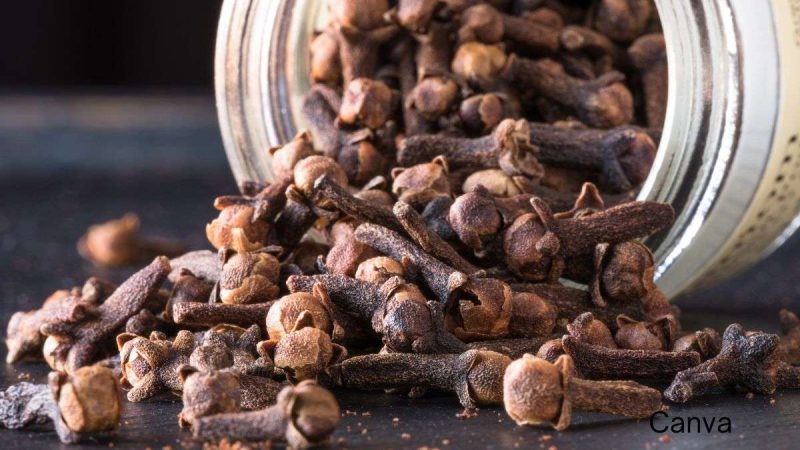 The Mighty Whole Clove: A Haitian Spice with Global Reach