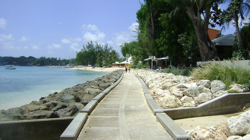 Caribbean Journal