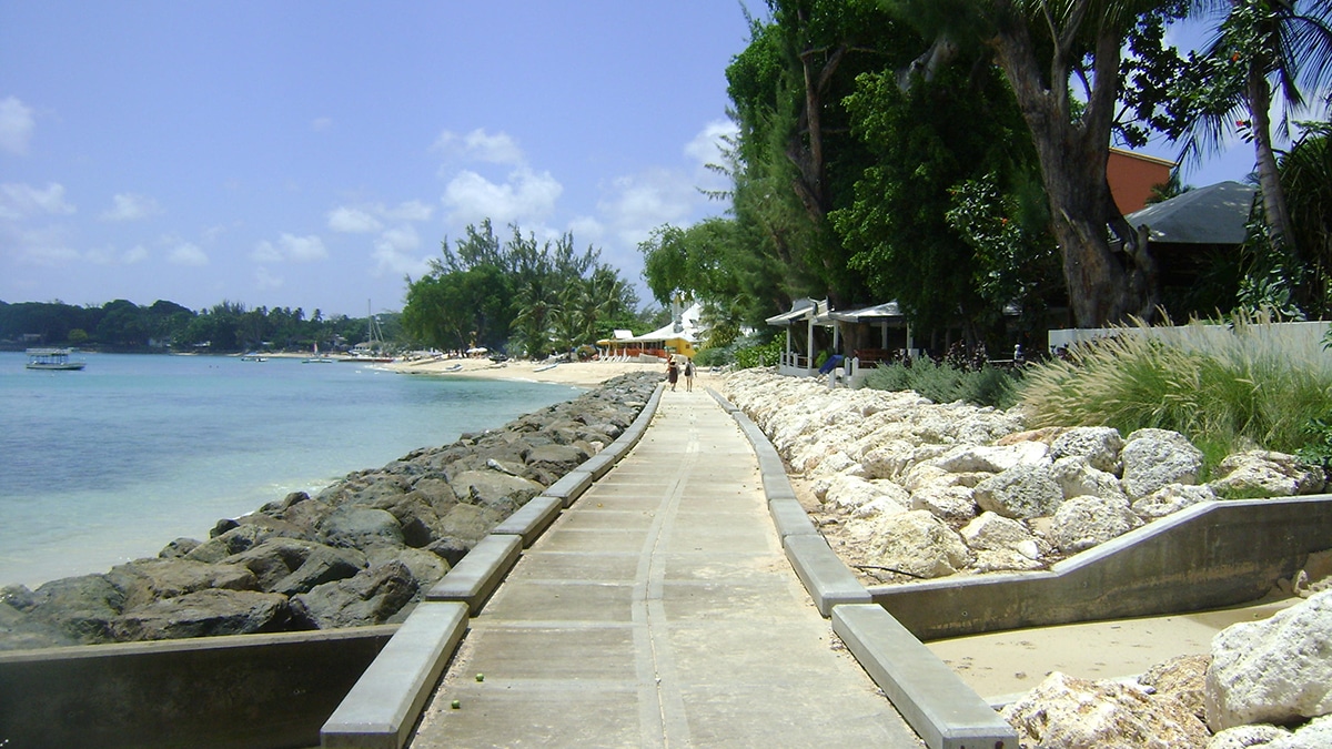 Caribbean Journal