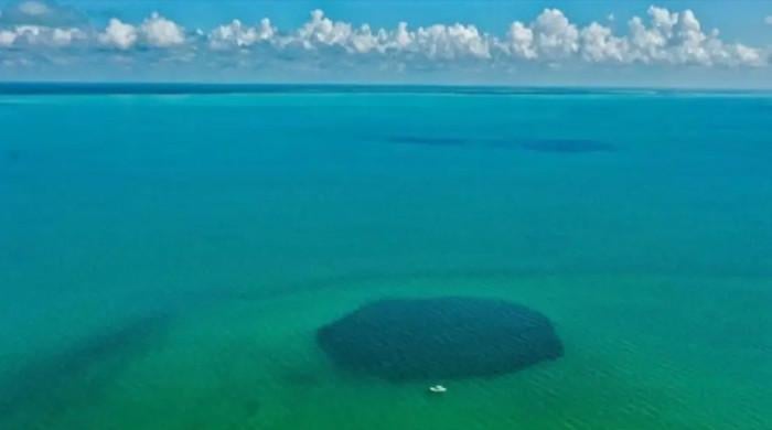 What to know about Taam Ja’ Blue Hole, deepest in world?