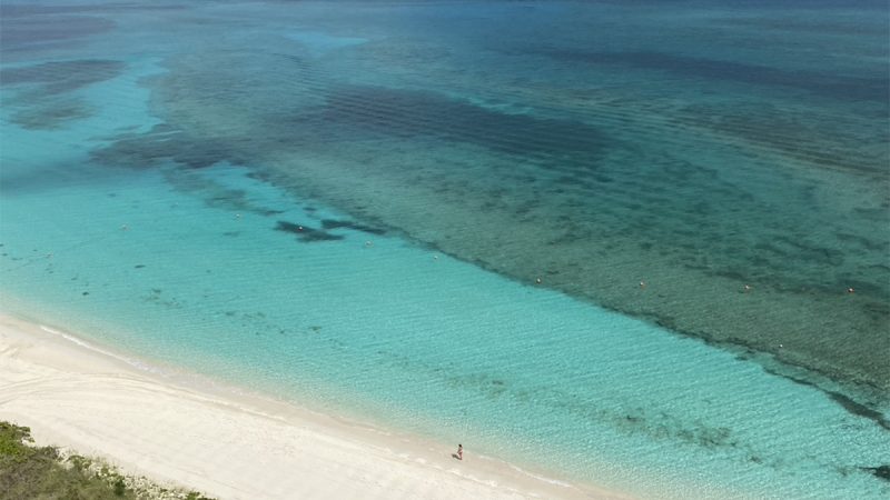 How to Take a Summer Vacation to Atlantis Paradise Island