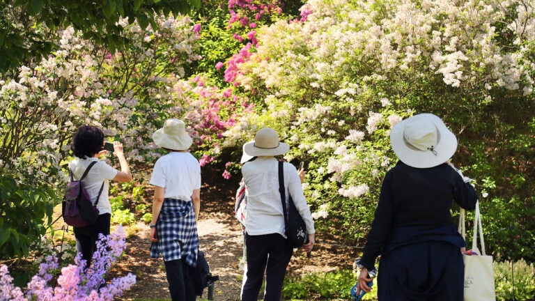 Here’s how to spend the perfect day in Jamaica Plain