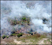7 News Belize