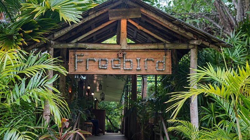 Freebird is a Culinary Oasis