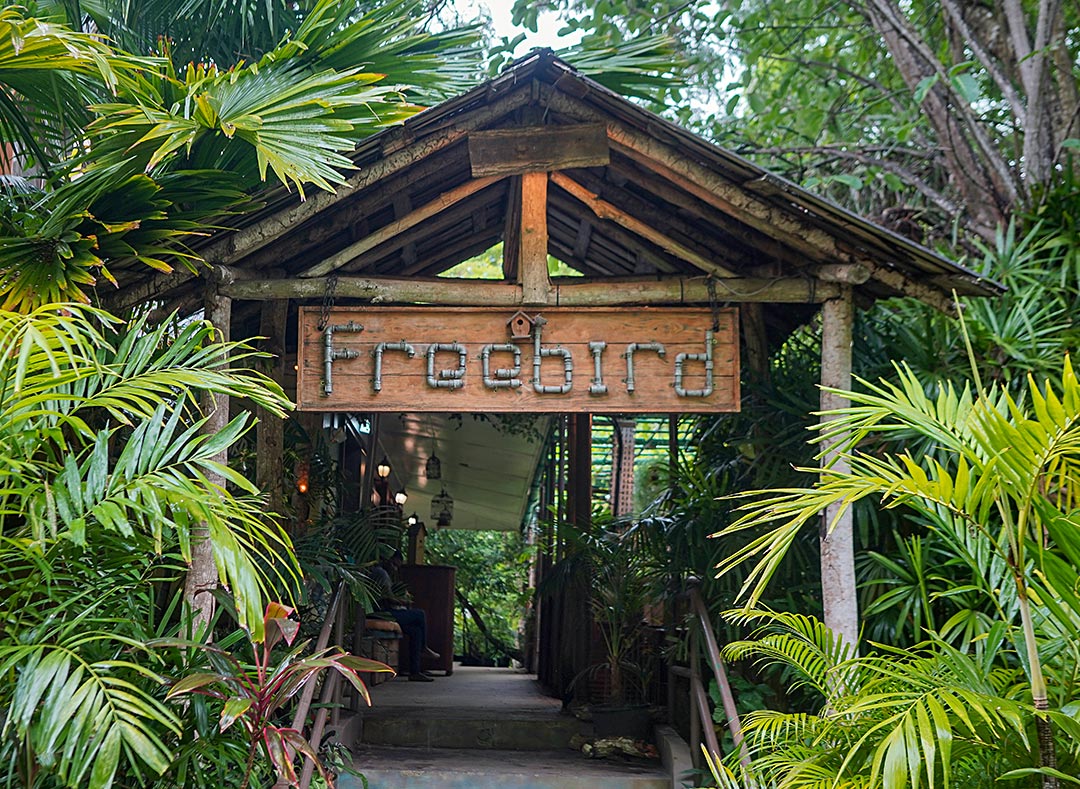 Freebird is a Culinary Oasis