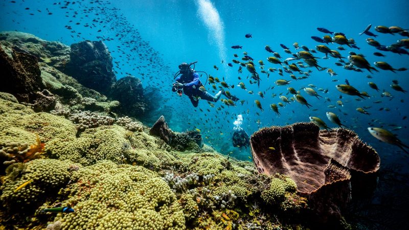 ‘Sea’ The Change: Dive into Ocean Conservation with Sandals Resorts