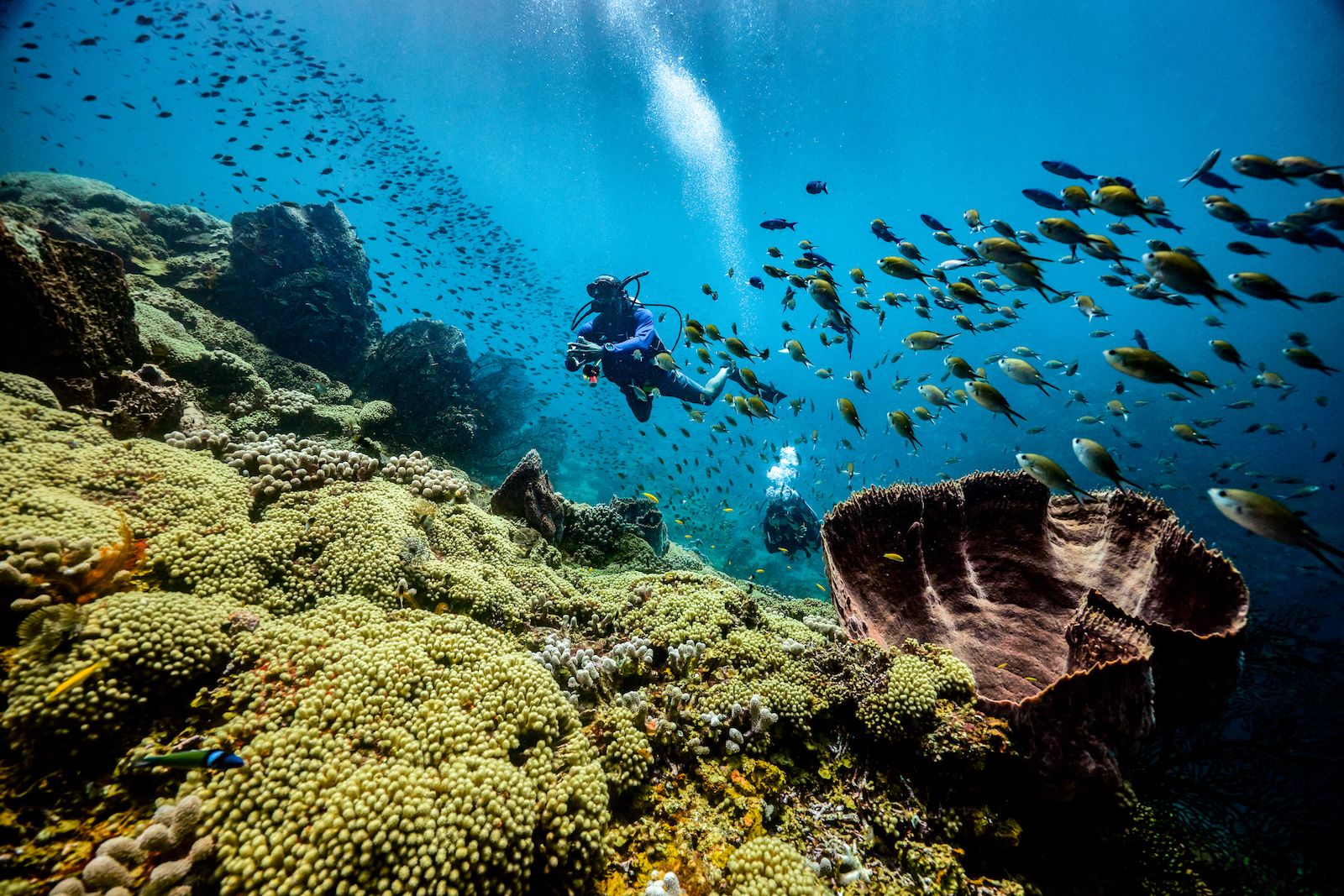 ‘Sea’ The Change: Dive into Ocean Conservation with Sandals Resorts
