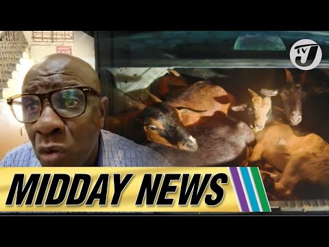 6 Stolen Goats Recovered in Manchester | Mayor Issues Warning to Sex Workers