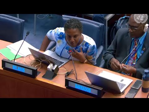 Flying fish industry impacted by sargassum influxes