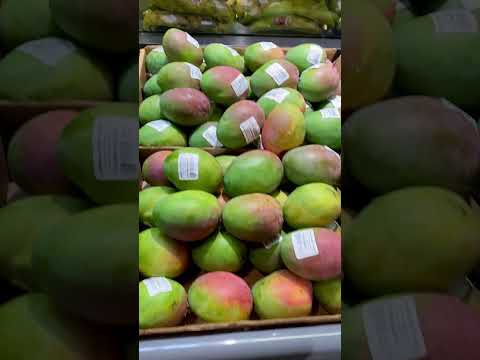 Mango | Mango Season
