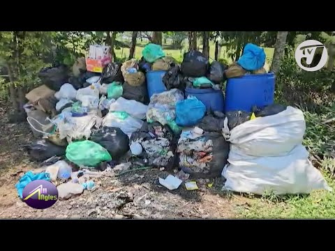 Plastic Ban in Jamaica | TVJ All Angles