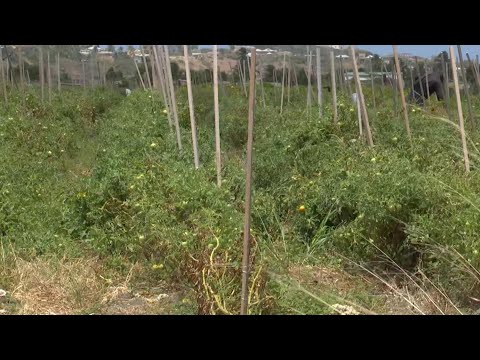 Boost for agricultural sector