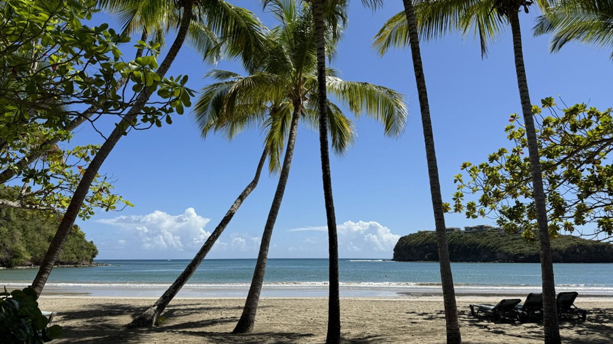 Why the Caribbean Island of Grenada Is Buzzing Right Now 