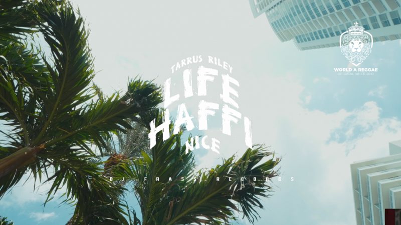 Life Haffi Nice