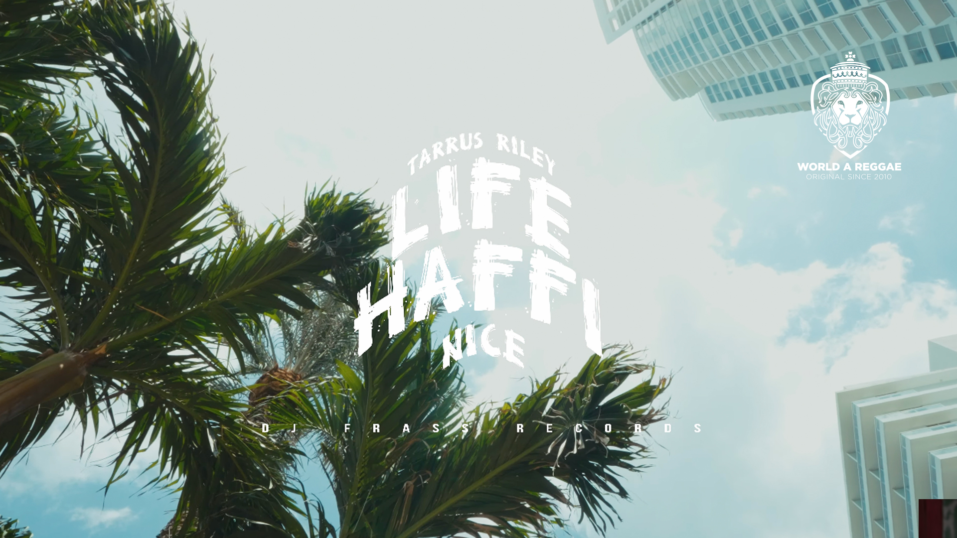 Life Haffi Nice