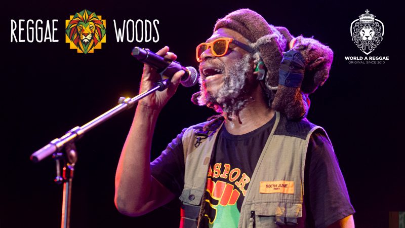 Photos: Reggae Woods Festival Rotterdam 2024 – World A Reggae