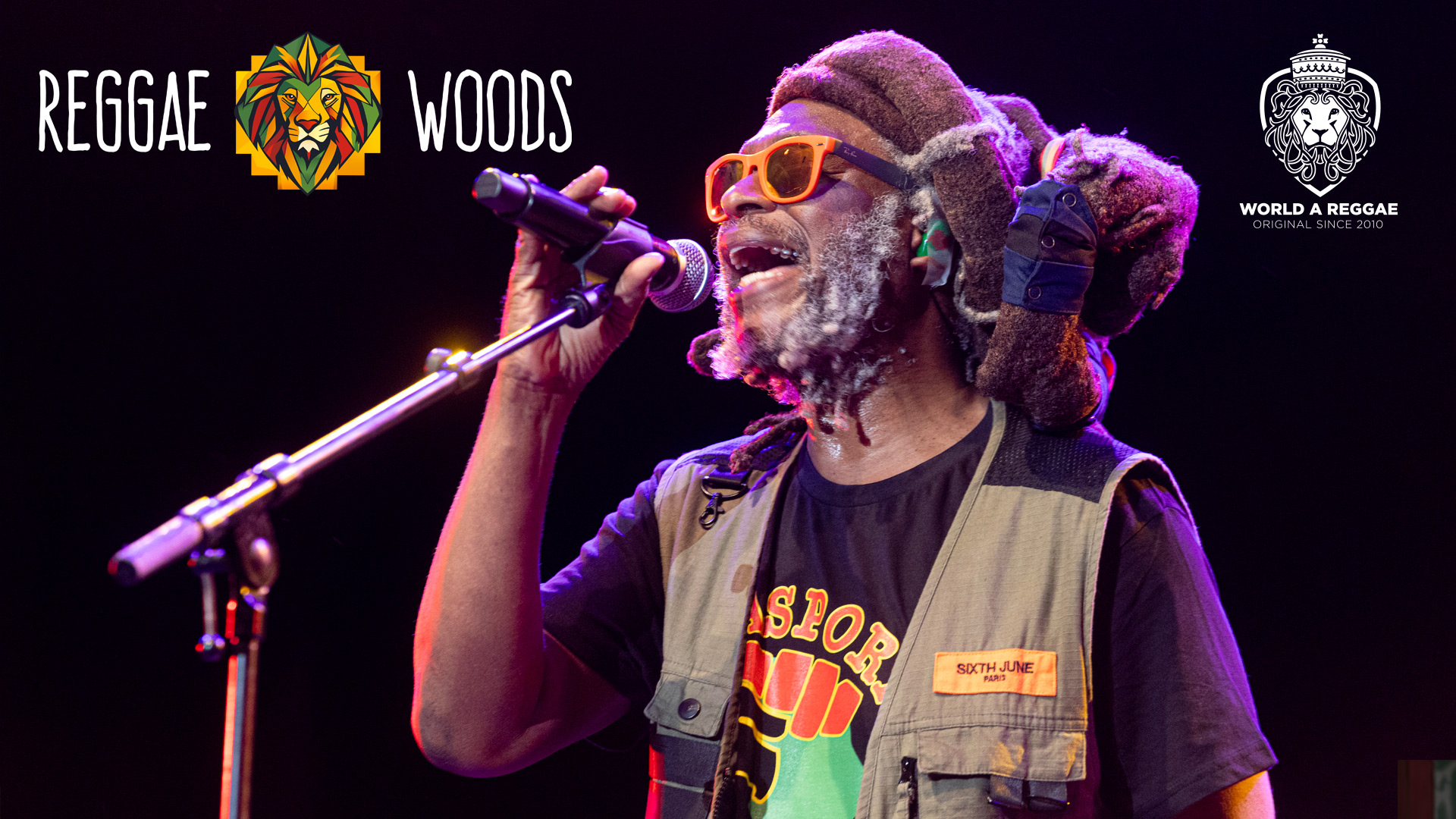 Photos: Reggae Woods Festival Rotterdam 2024 – World A Reggae