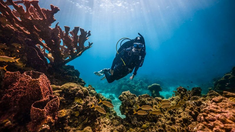 5 Women to Know this PADI Women’s Dive Day