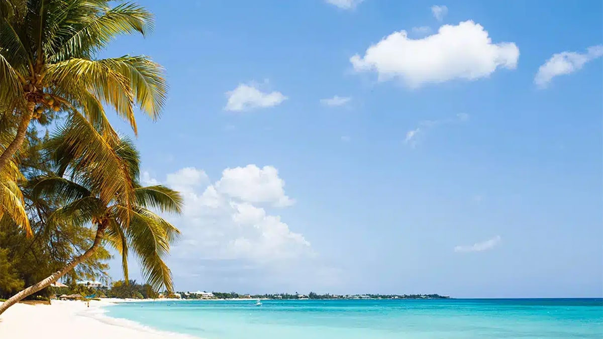 American Airlines Is Adding More Daily Nonstop Flights to Grand