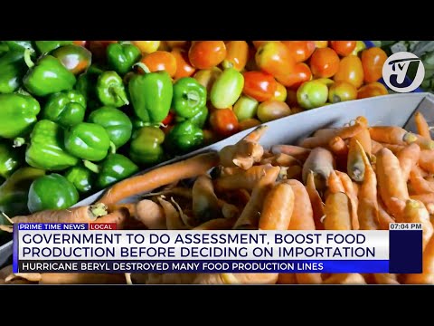 Gov’t to do Assessment, Boost Food Production before Deciding on Importation | TVJ News