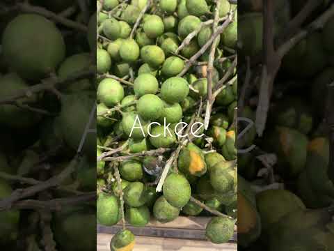 Chenette aka Guinep aka Ackee |CaribbeanPot.com