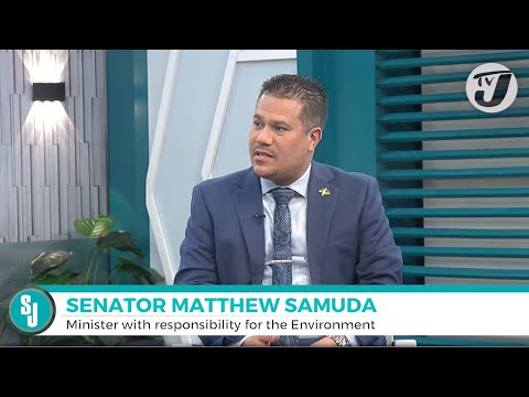 4th Phase of Plastic Ban with Senator Matthew Samuda | TVJ Smile Jamaica