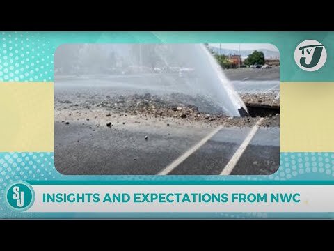 Insights and Expectations from NWC after Hurricane Beryl | TVJ Smile Jamaica