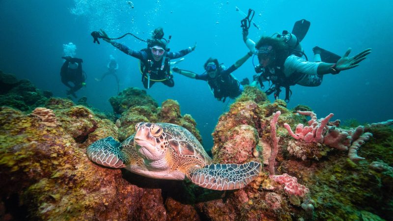 Top 5 Best Sandals® Resorts For Scuba Diving [2024]