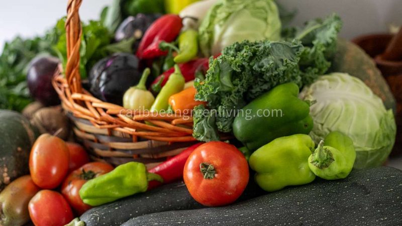 Farm-to-Table: Exploring The Benefits Of Pick-Your-Own Farms