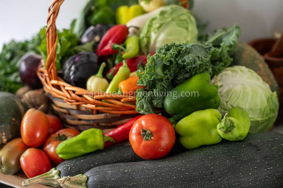 Farm-to-Table: Exploring The Benefits Of Pick-Your-Own Farms