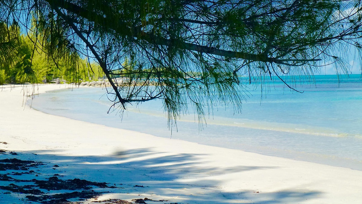 Caribbean Photo of the Week: Barbary Beach, Grand Bahama