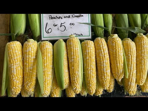 Kitchener Market (farmer’s market) #gallivanting | CaribbeanPot.com