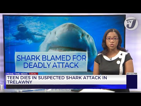 Teen Dies in Suspected Shark Attack in Trelawny | TVJ News
