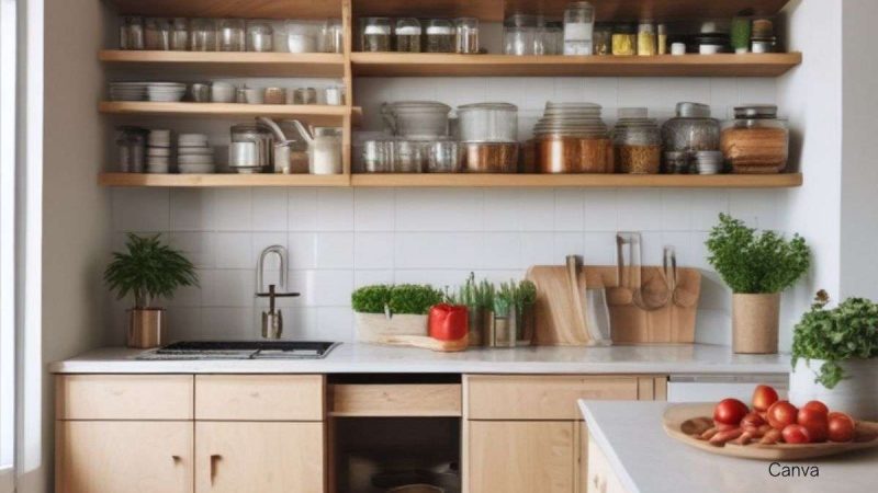 7 Eco-Friendly Swaps For Your Caribbean Kitchen (Practical Green Living