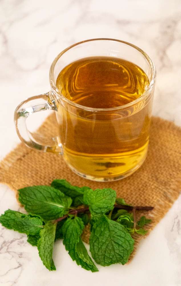 Homemade Fresh Mint Tea