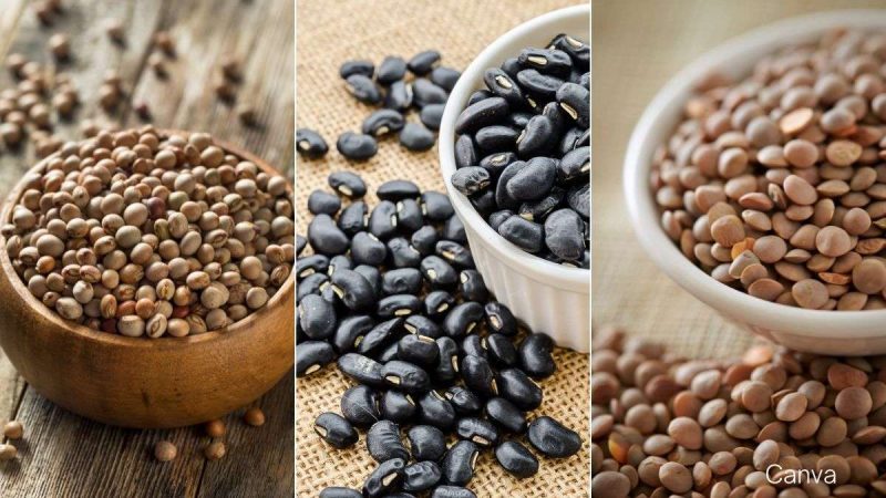 Plant-Based Protein Power: A Caribbean Twist With Legumes And Pulses