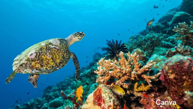 Escape To Nature’s Haven: Explore 5 Hidden Eco-Paradises In The