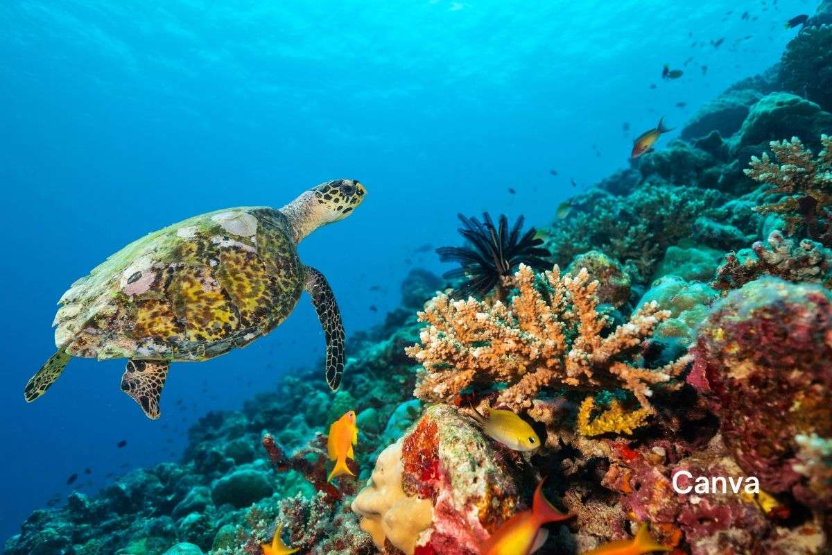 Escape To Nature’s Haven: Explore 5 Hidden Eco-Paradises In The