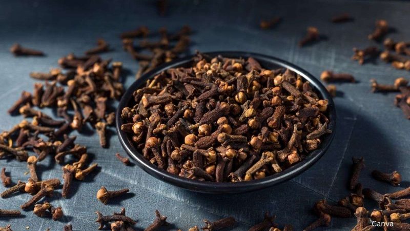 The Aromatic Secret: The Power Of Whole Cloves In Your