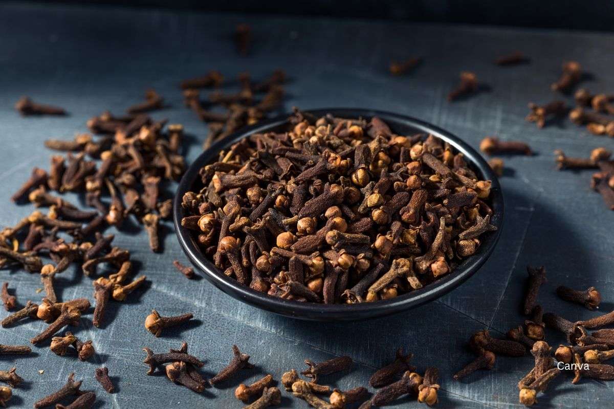 The Aromatic Secret: The Power Of Whole Cloves In Your