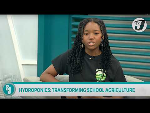 Hydroponics: Transforming School Agriculture | TVJ Smile Jamaica