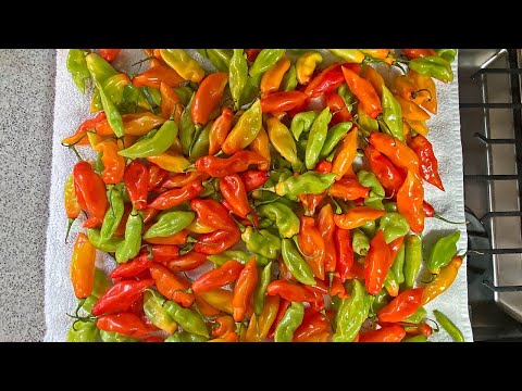 How To Properly Freeze Pimento Peppers | CaribbeanPot.com