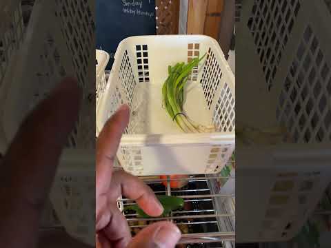 Grocery Giveaway |  CaribbeanPot.com